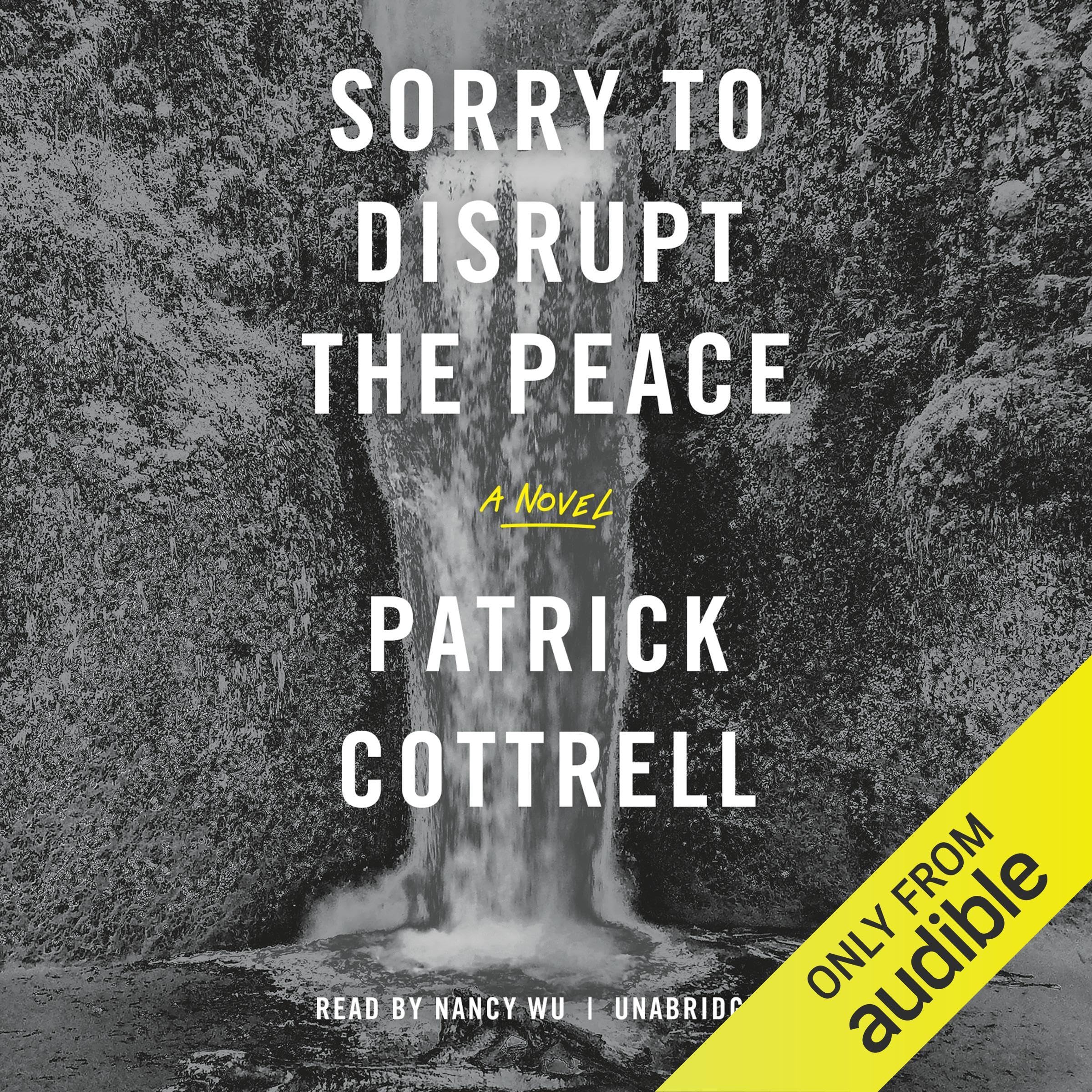 Cover art for Sorry to Disrupt the Peace