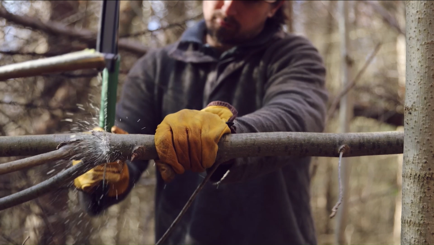 Amazon.com: AGAWA - BOREAL21 -> 21 Inch Folding Bow Saw