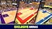 Mini Basketball