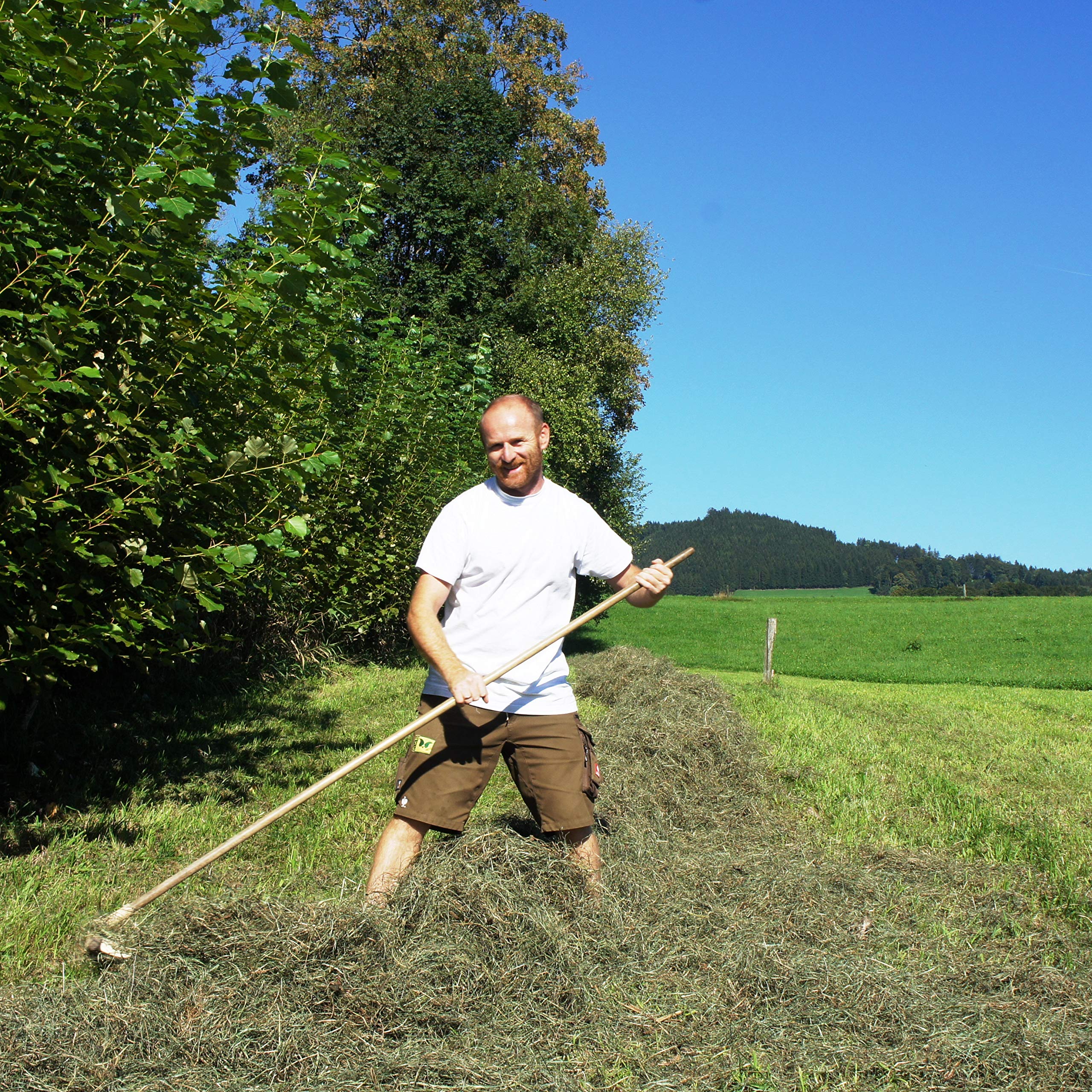Jumbogras® NATURHEU 1.u.2. Schnitt: Qualitäts-Kleintier-Futter, Heu für Kaninchen/Hasen & Nager - Heuballen verschnürt, aus der größten Heumilch-Region Europas in Österreich (2 x 18-20 kg)