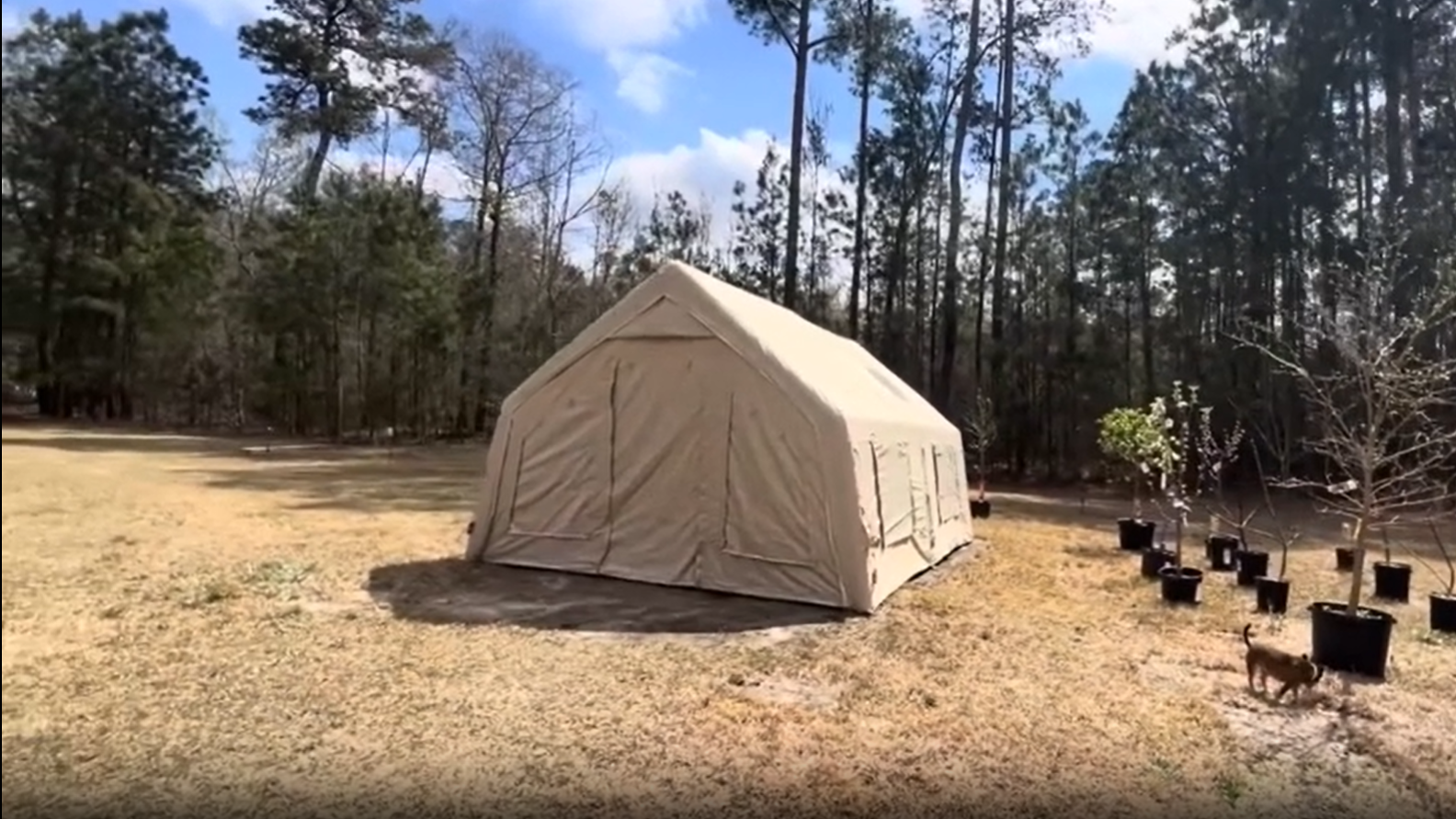 Amazon.com : YOLENY 181 SFT Extra Large Inflatable Camping Tent
