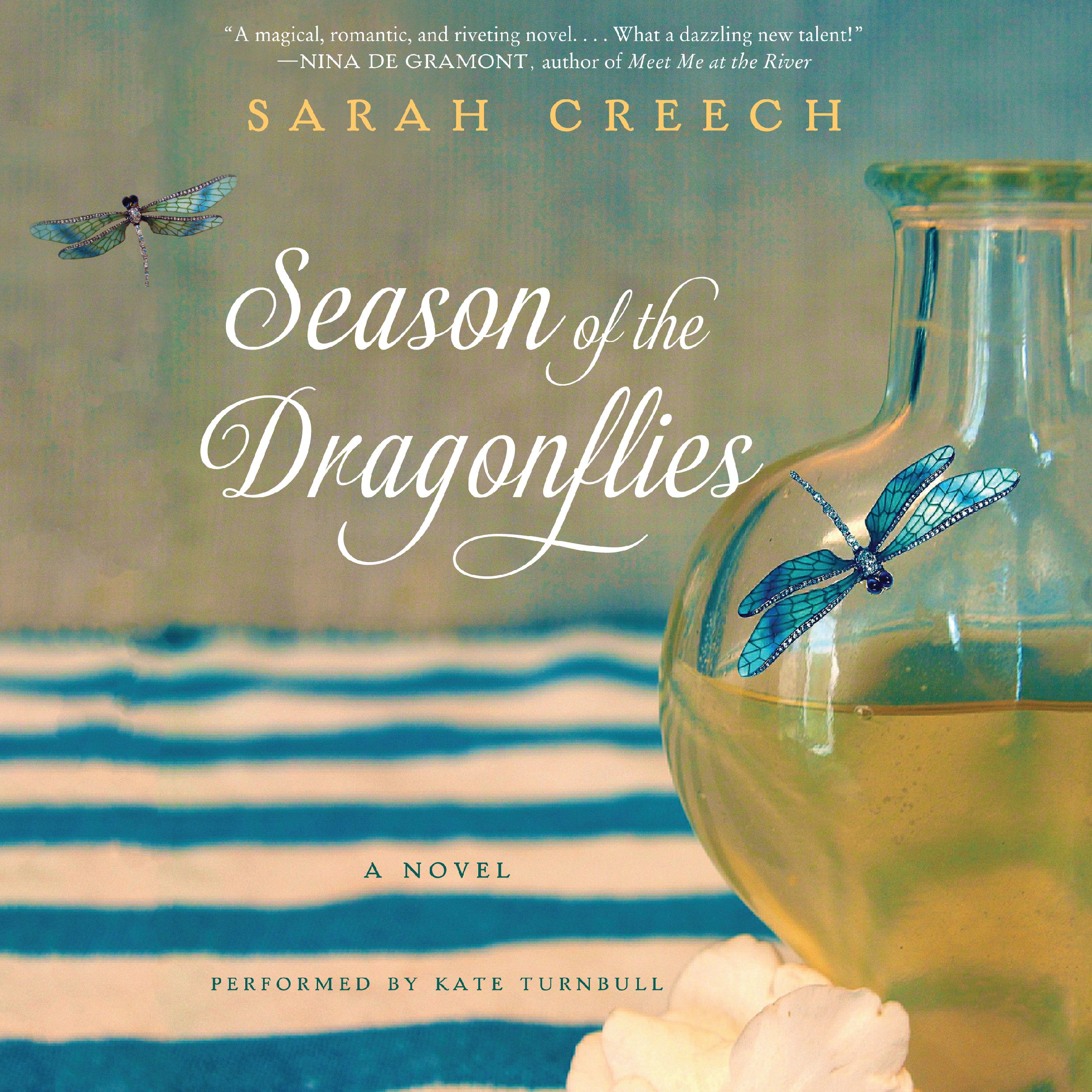 Cover art for Season of the Dragonflies