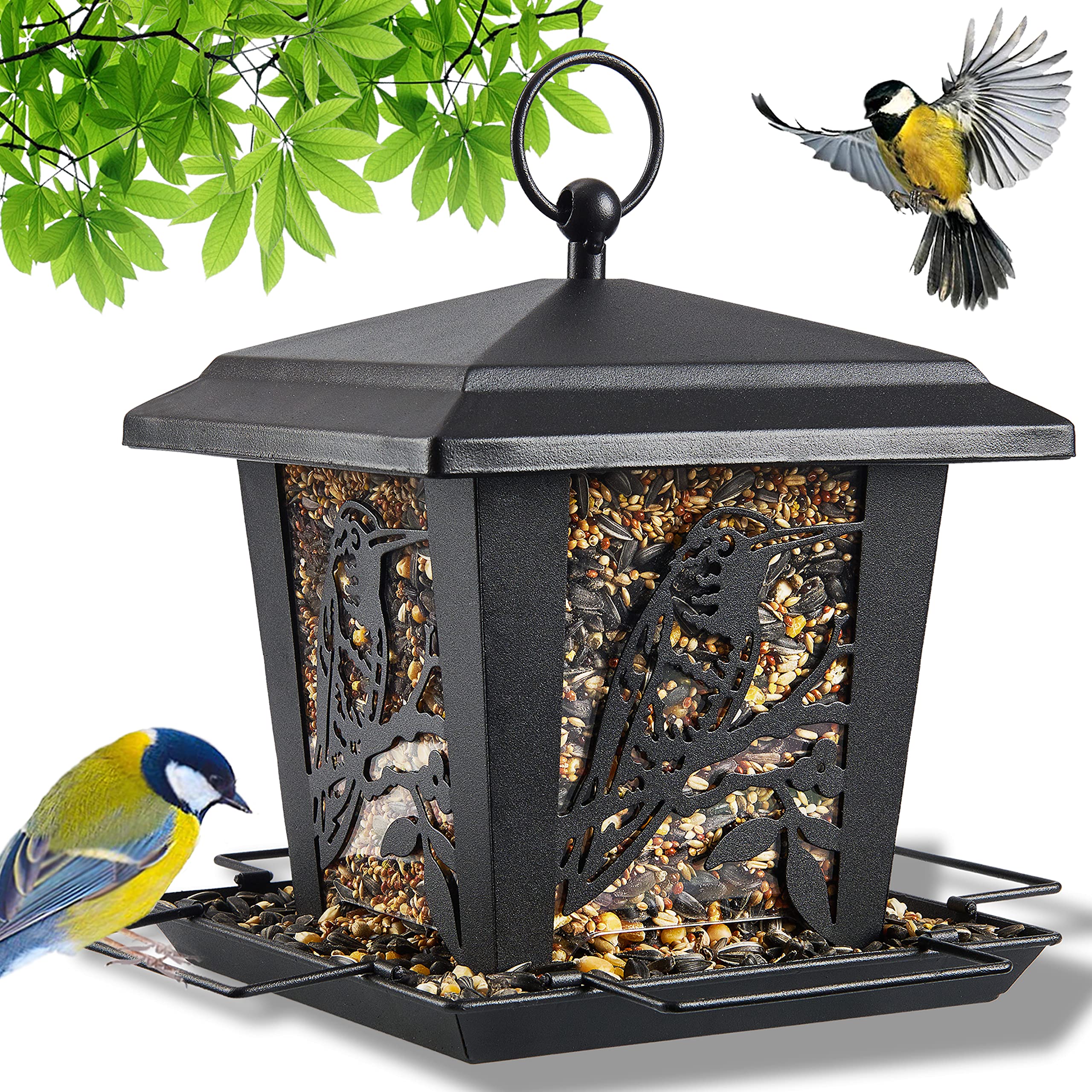10 Best Sparrow Bird Feeders for Your Garden Hummingbirds Plus