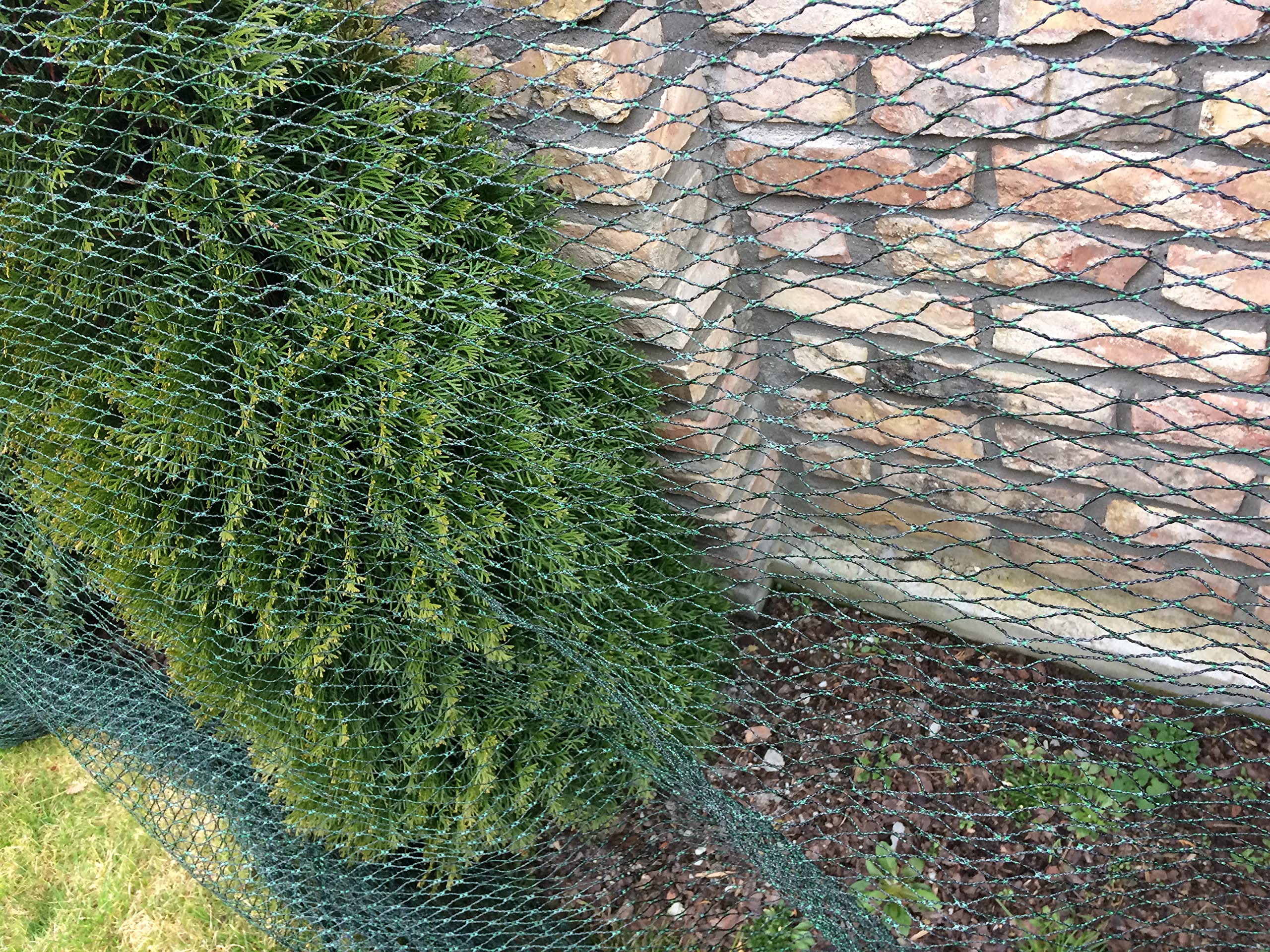 F & R Schutznetz für Teich, Obst & Gemüse, gegen Schmutz, Laub & Vögel, Engmaschiges Vogelschutznetz für Garten, Teichnetz, Gartennetz, 15 x 15 m (225 m²)