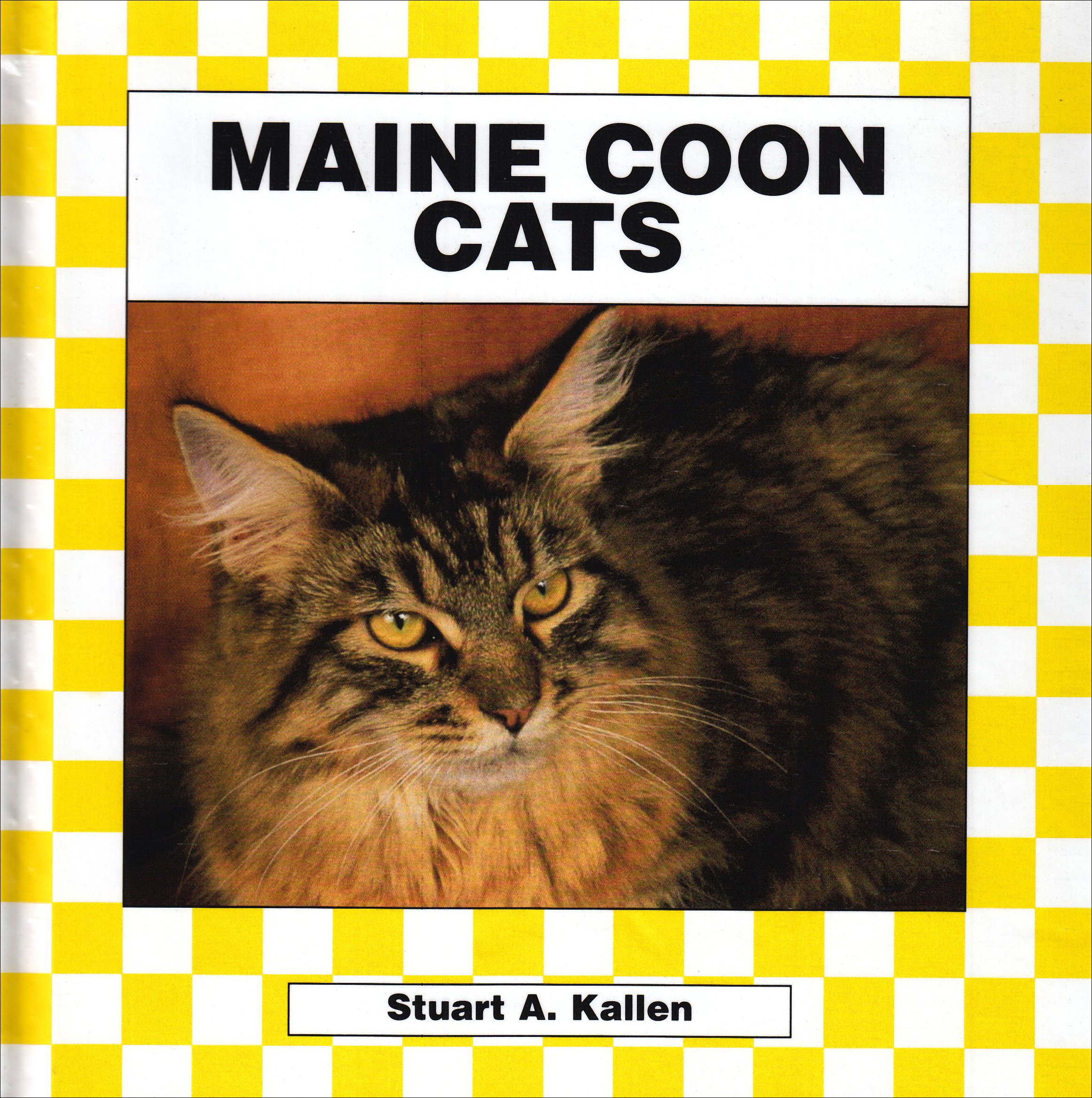 MAINE COON CATS