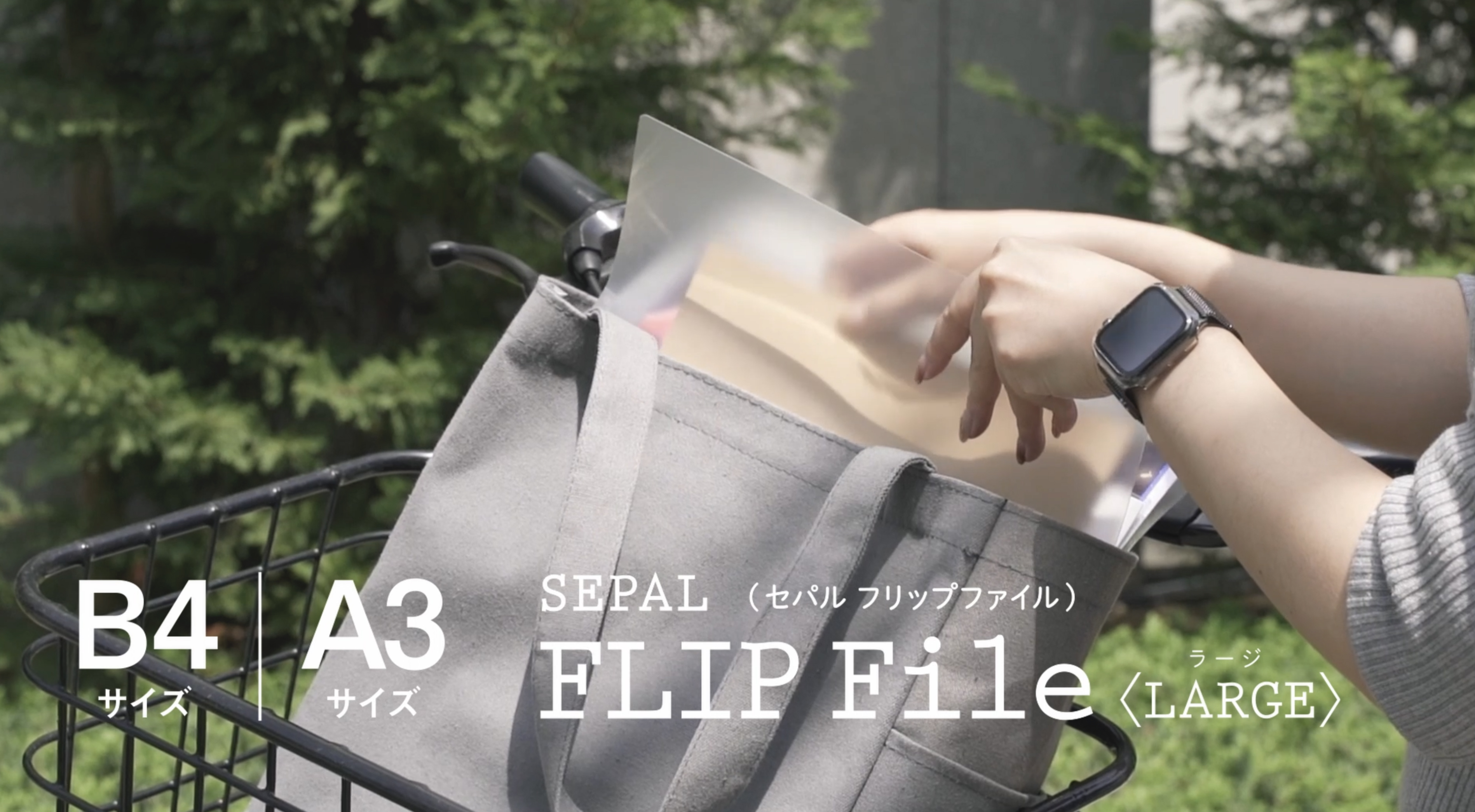 Amazon | セキ セイ sepal フリップ ファイル ラージ b 4 タテ