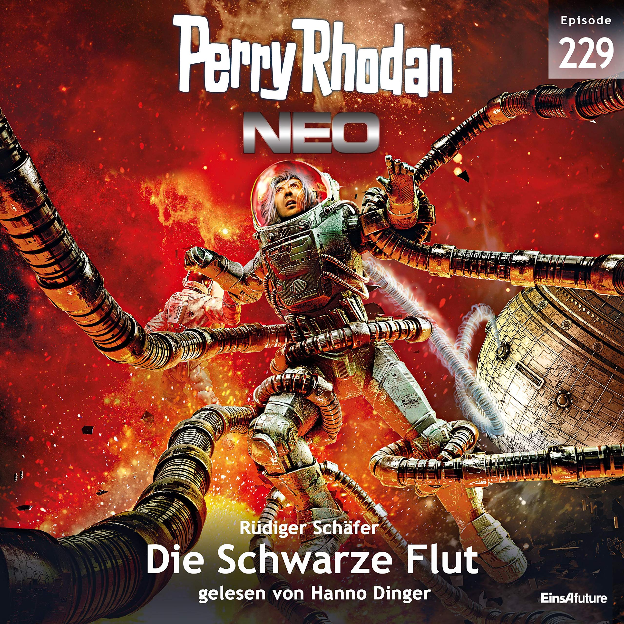 Cover art for Die Schwarze Flut
