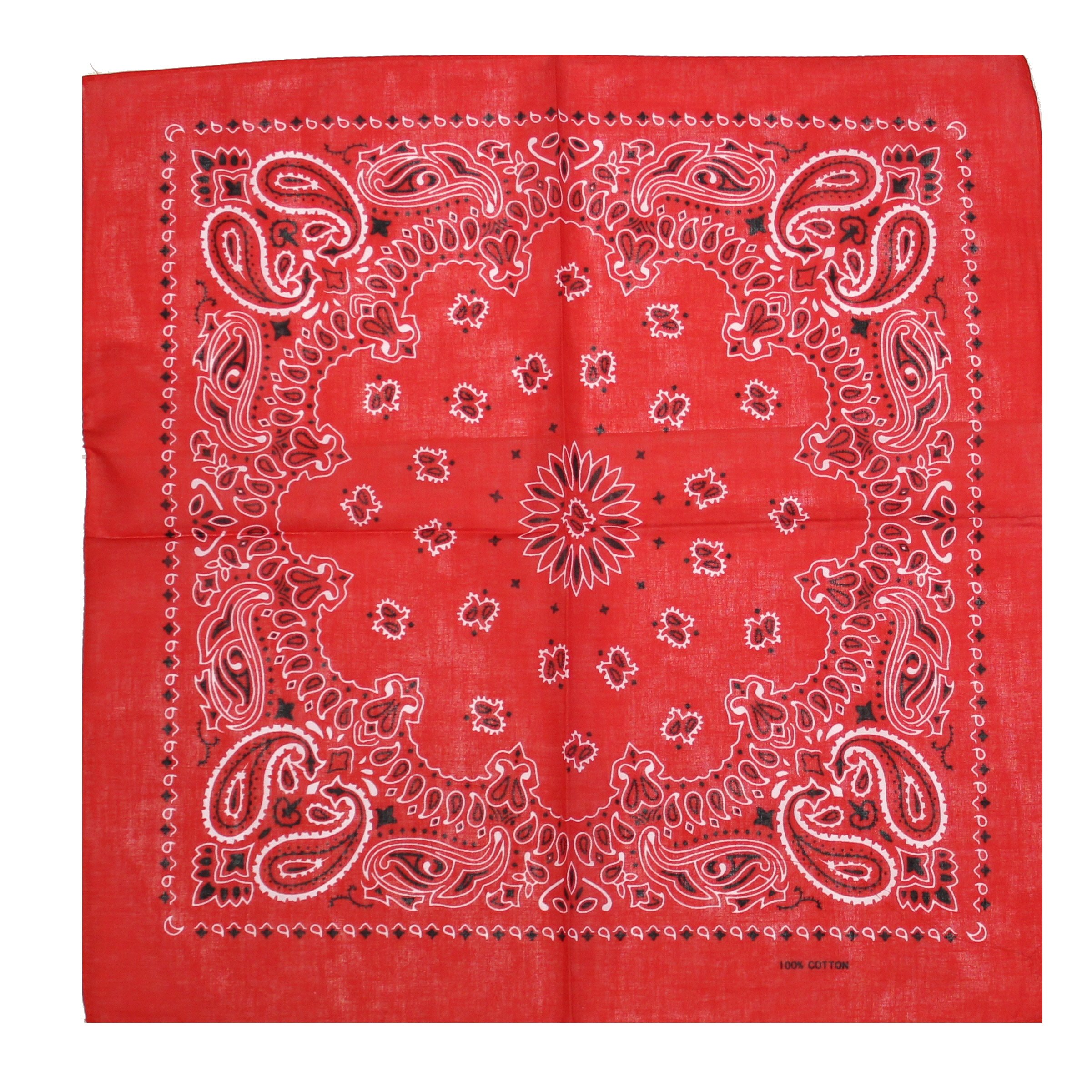 Zac's Alter Ego Alternative Retro Paisley Cotton Bandana/Neckerchief/Headtie/Face Mask