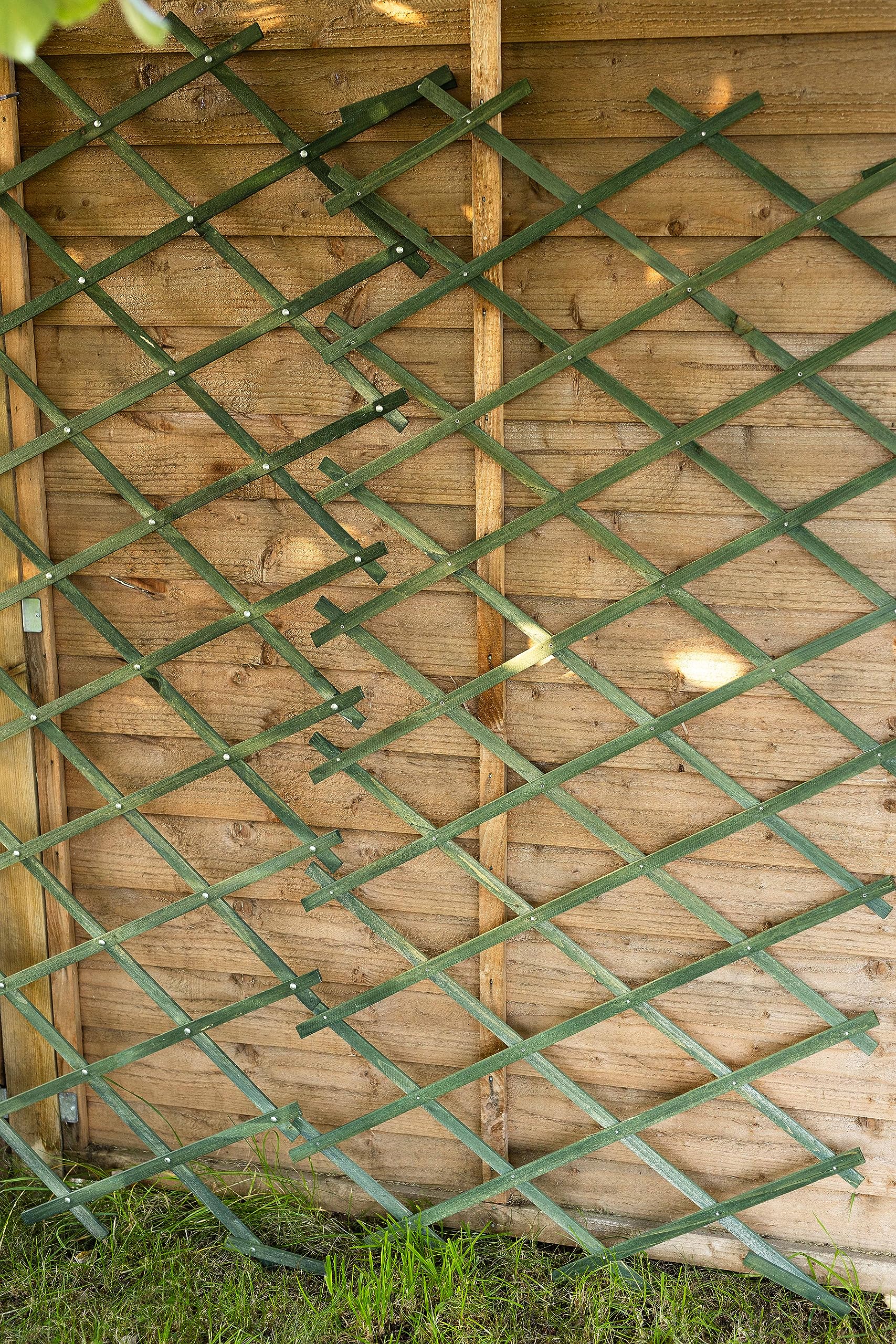 View 3