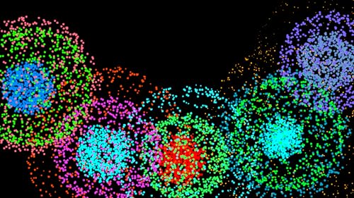 Frankie's Baby Fireworks!