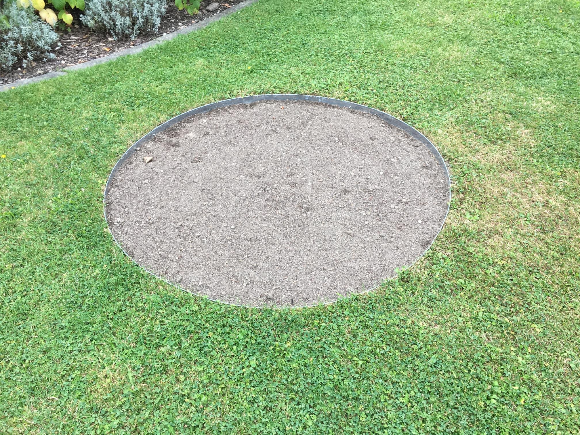 Anelli Per Alberi In Acciaio Corten - Foto 6