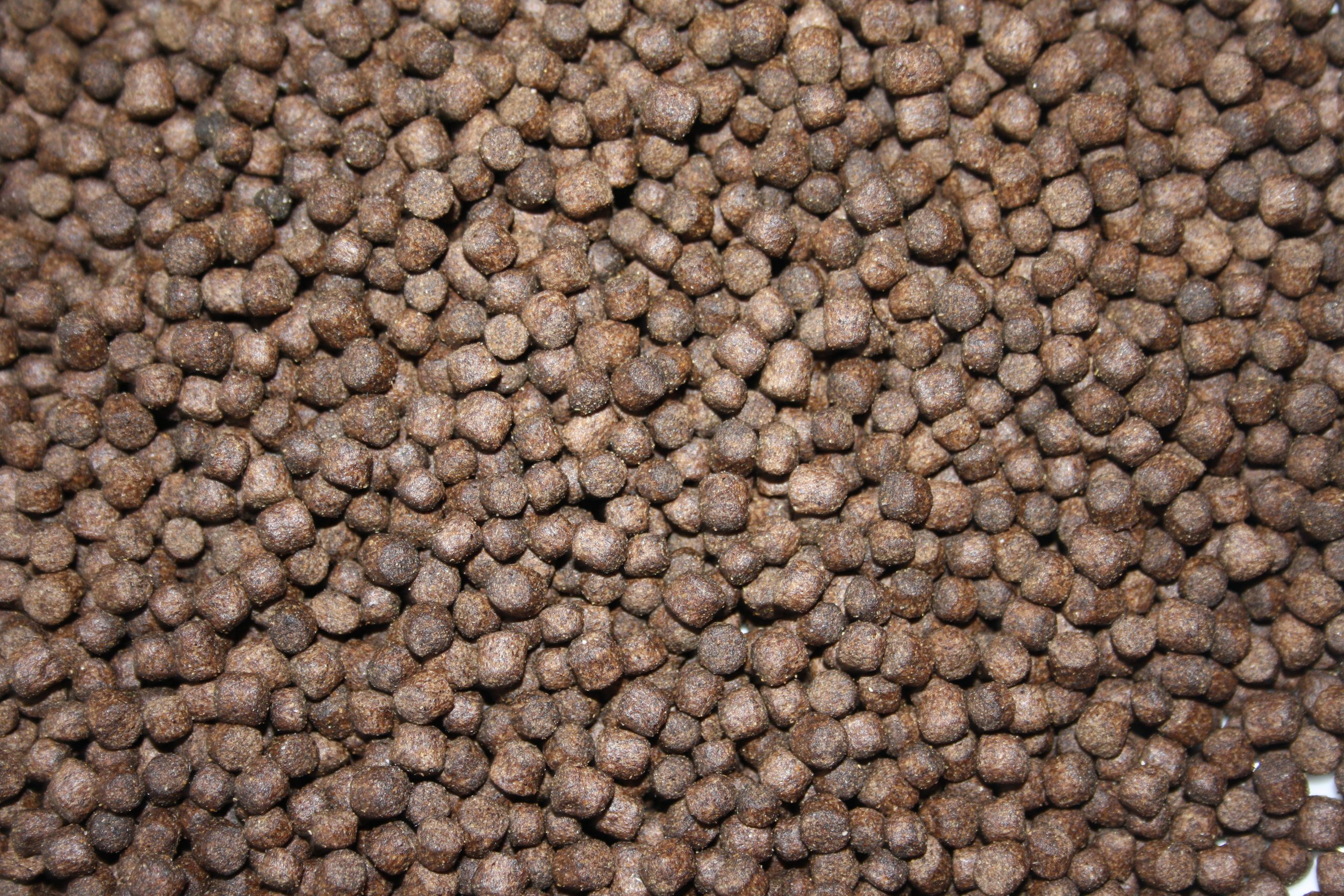 Sinkfutter für Koi, professionelles langsam sinkendes Koifutter für Koi bei niedrigen Wassertemperaturen 5kg Beutel, 4mm sinkende Koipellets