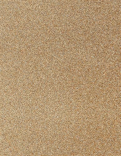 Miniatura 10 de LUXPaper Cartulina de 8.5 x 11 pulgadas, tamaño carta, brillo plateado, cubierta de 106 libras, 50 unidades