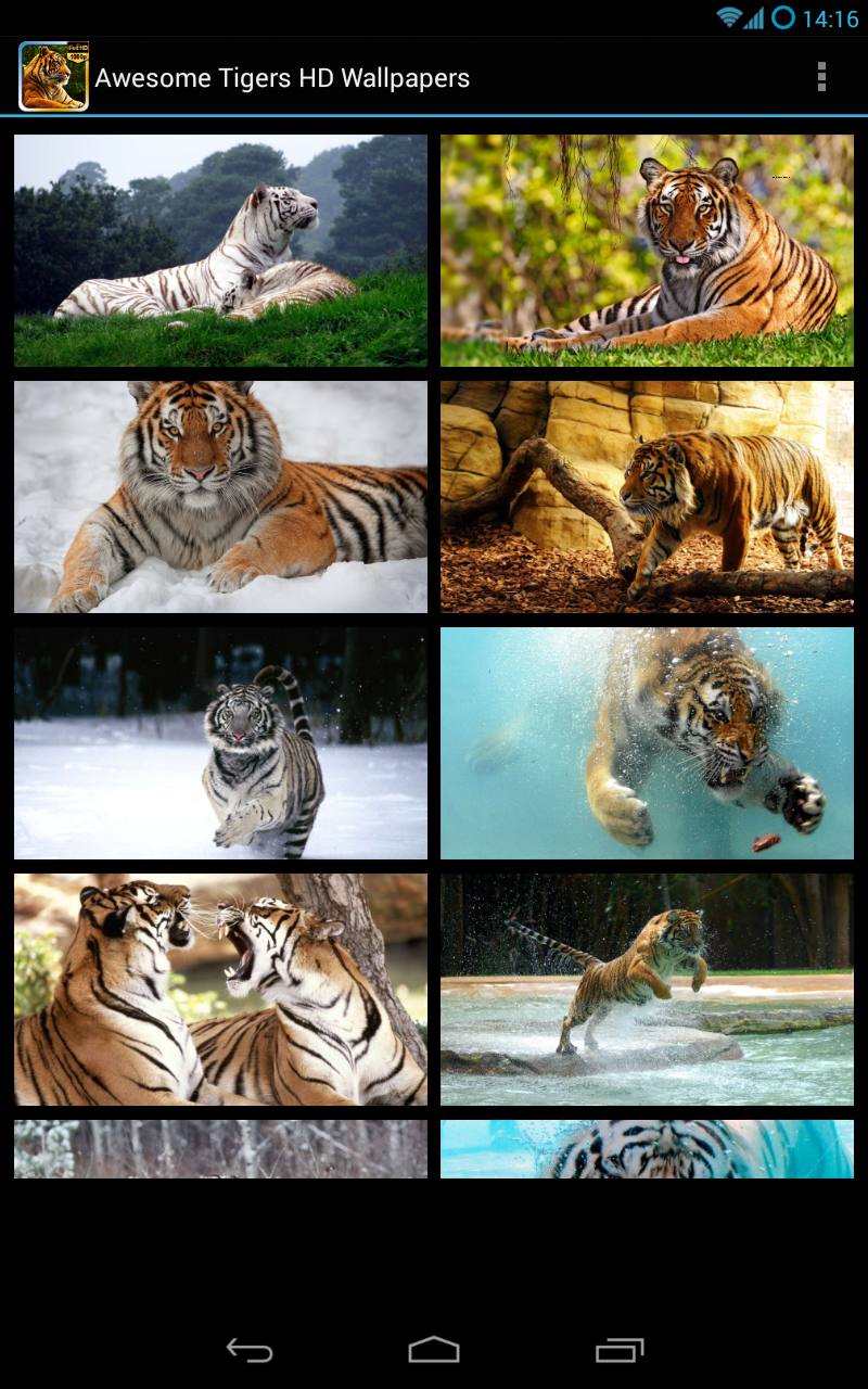 Awesome Tigers HD Wallpapers - App on the Amazon Appstore
