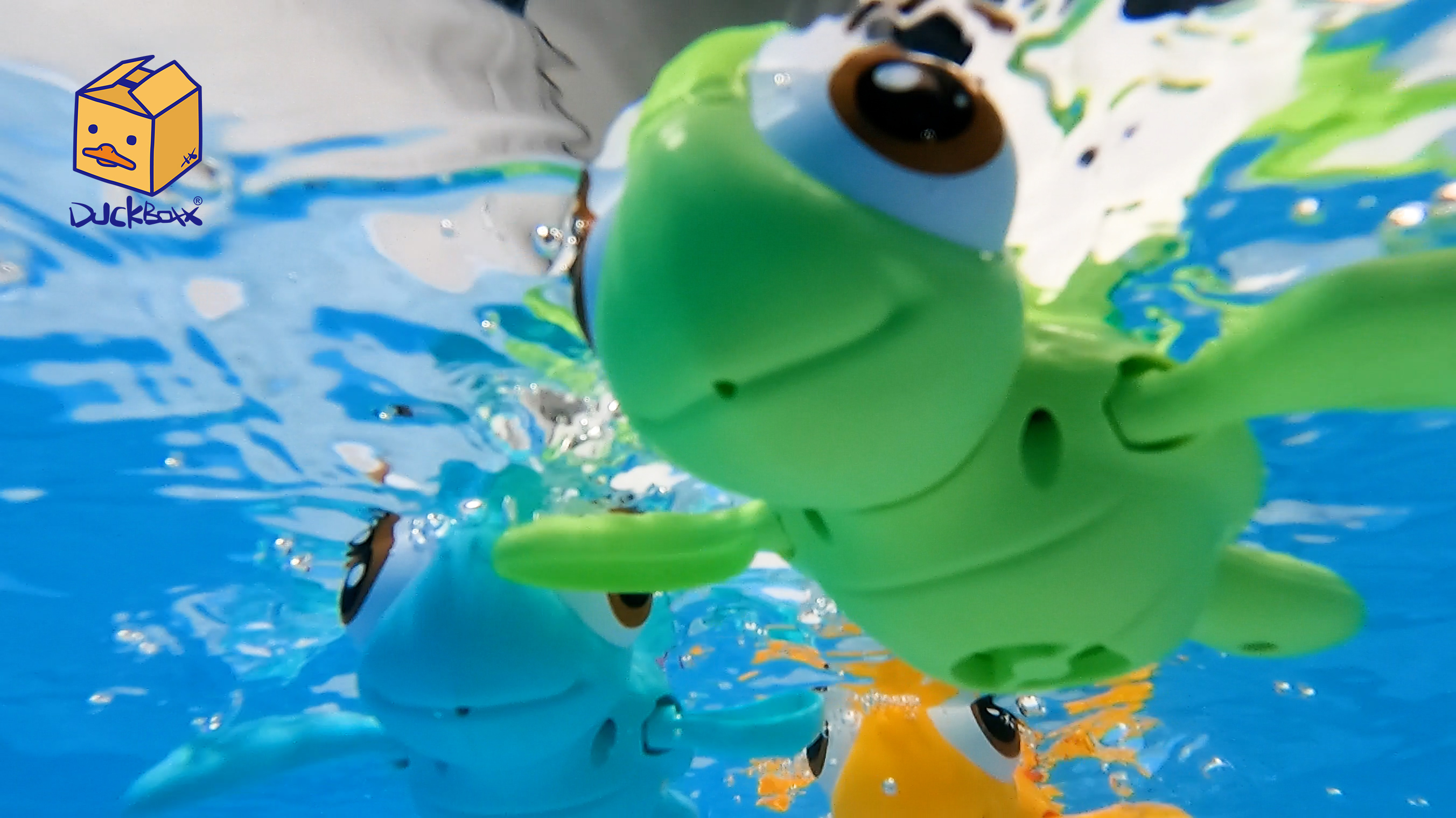 Amazon.com: DUCKBOXX XX Wind-up Swimming Sea Turtles Bath Toy, No