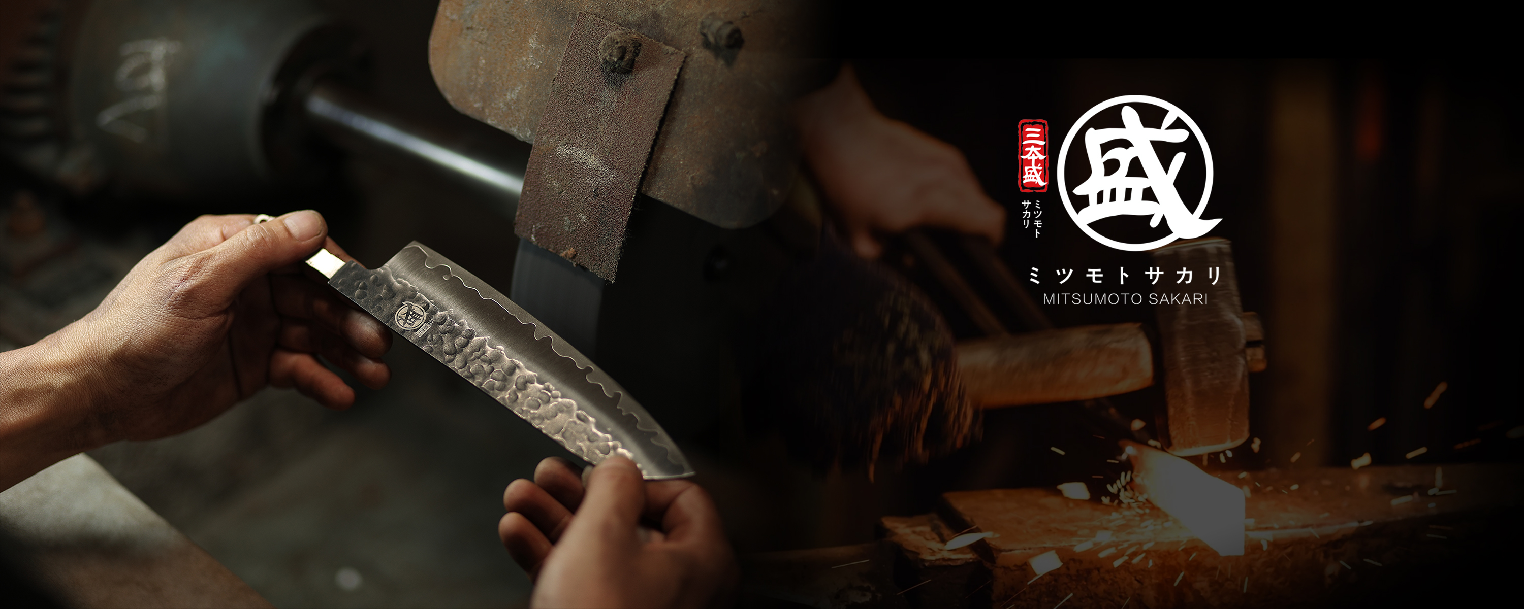 Amazon.com: MITSUMOTO SAKARI 10-Inch Flat Diamond Knife Sharpening