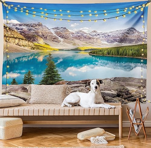 Miniatura 8 de Ambesonne Tapiz de paisaje tamaño King, paisaje de lago y montaña con impresión de roca y cielo de la vida de ensueño, colcha colgante de pared,