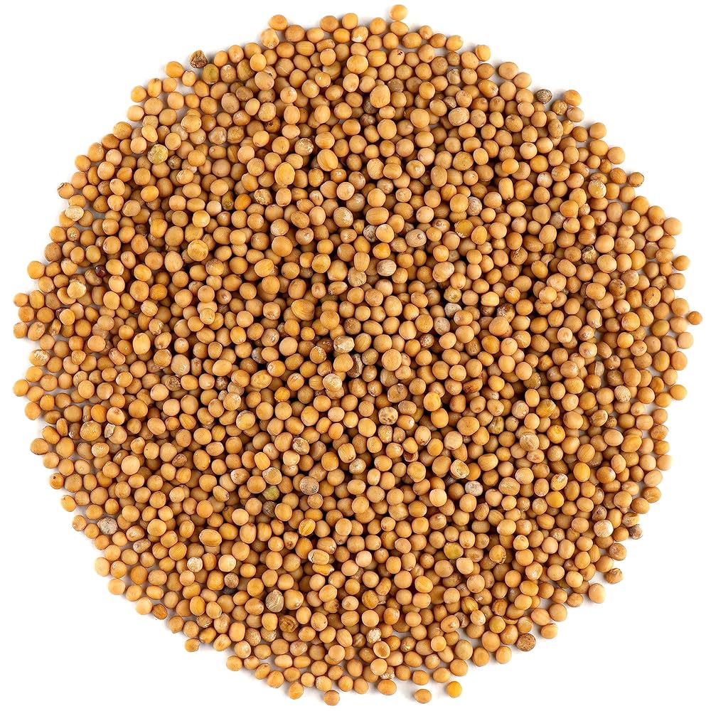 Yellow Mustard Seeds Whole - White Mustard Seed Spicy