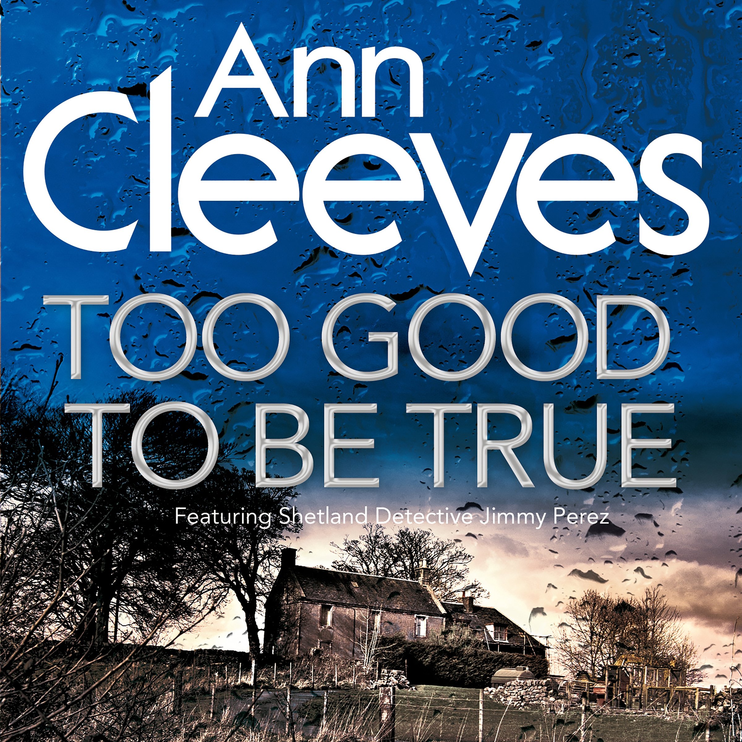 Cover art for Too Good to Be True