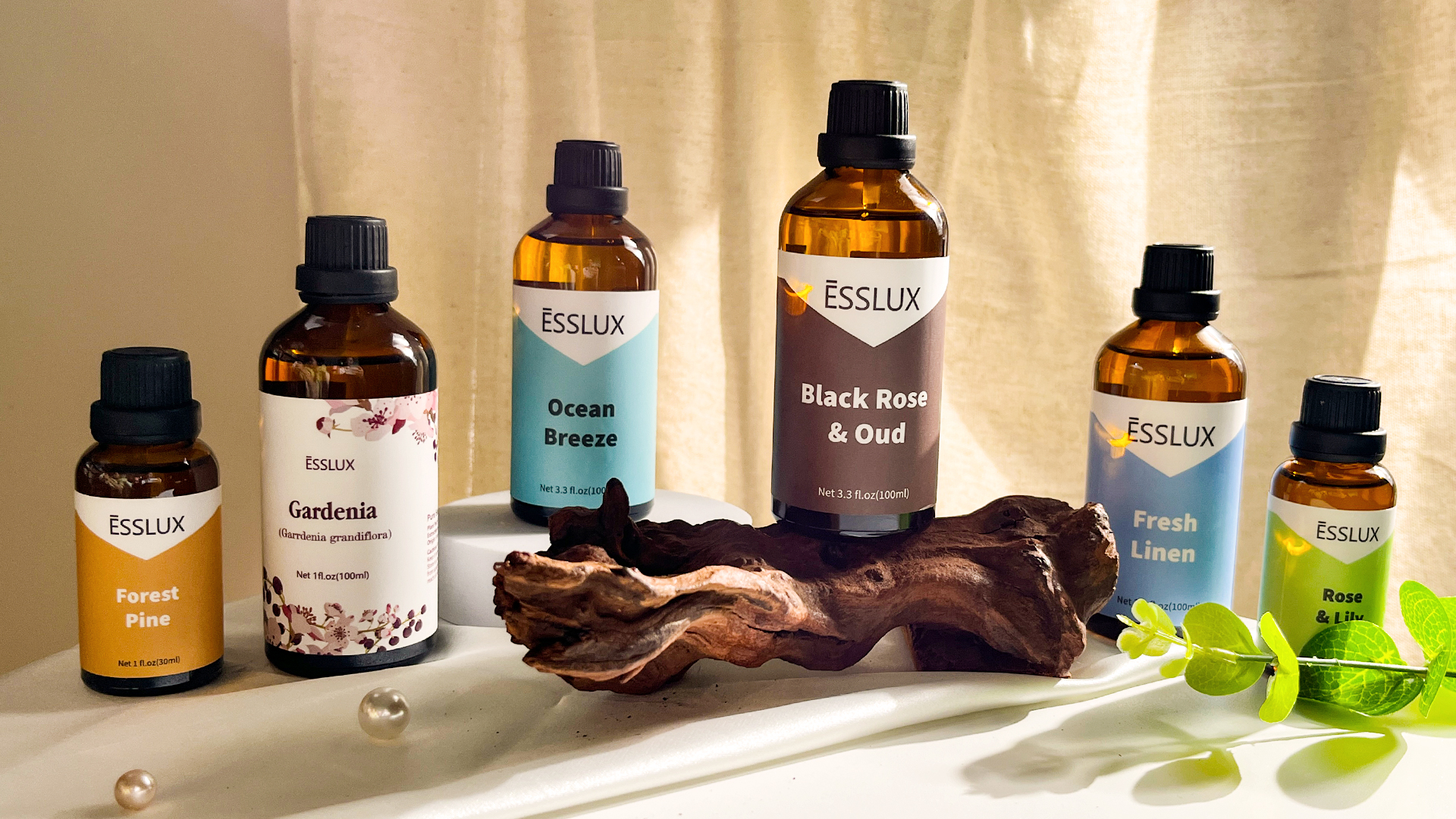 Amazon.com: Cherry Blossom Essential Oil 100ml, ESSLUX