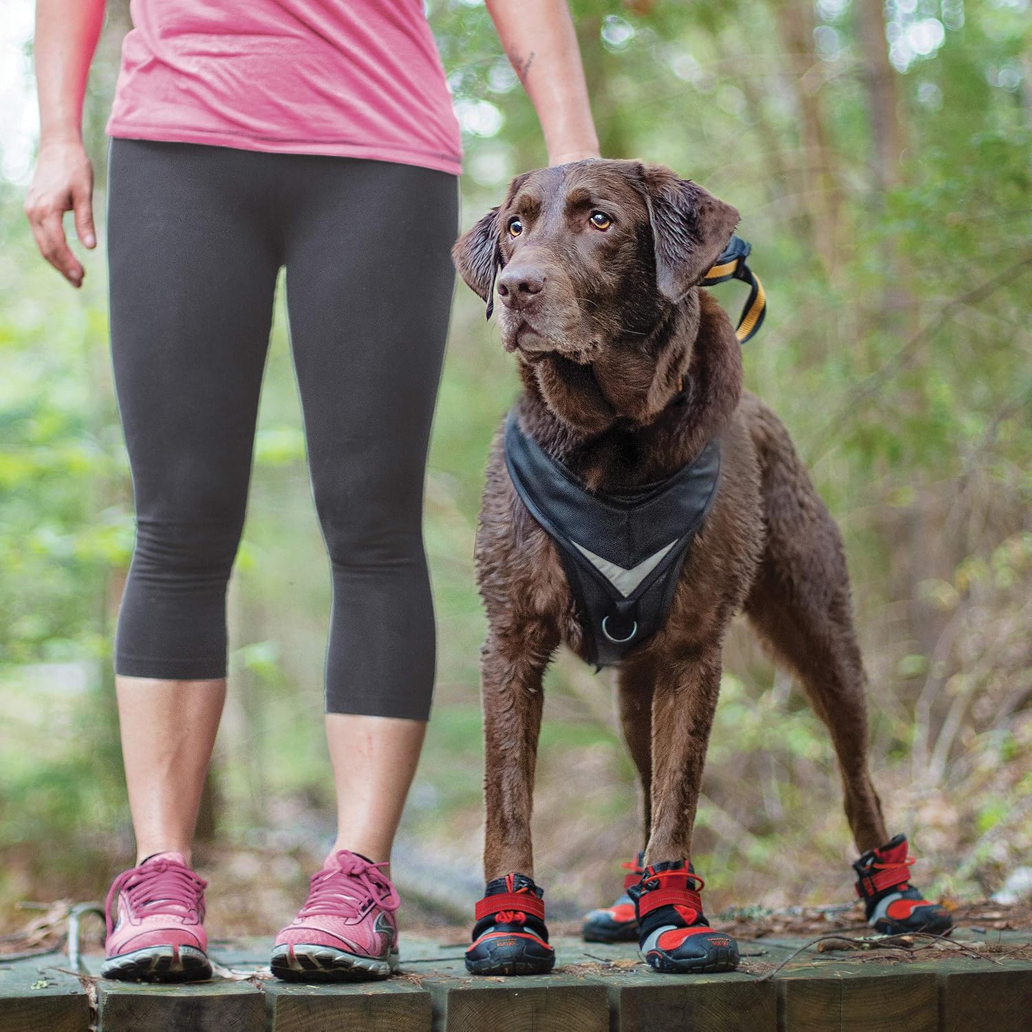 Kurgo Blaze Dog Boots - Protects Paws in All Seasons - Breathable Fabric - Water Resistant Dog Shoes - Dual Ankle Closure - Reflective Dog Boots - Includes 4 Shoes - Chili Red/Black - XXS