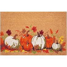 Calloway Mills Autumn Harvest Doormat, Outdoor Mat, Non-Slip Vinyl Backing, Heavy Duty Entryway Front Door Mat, 24"x36"