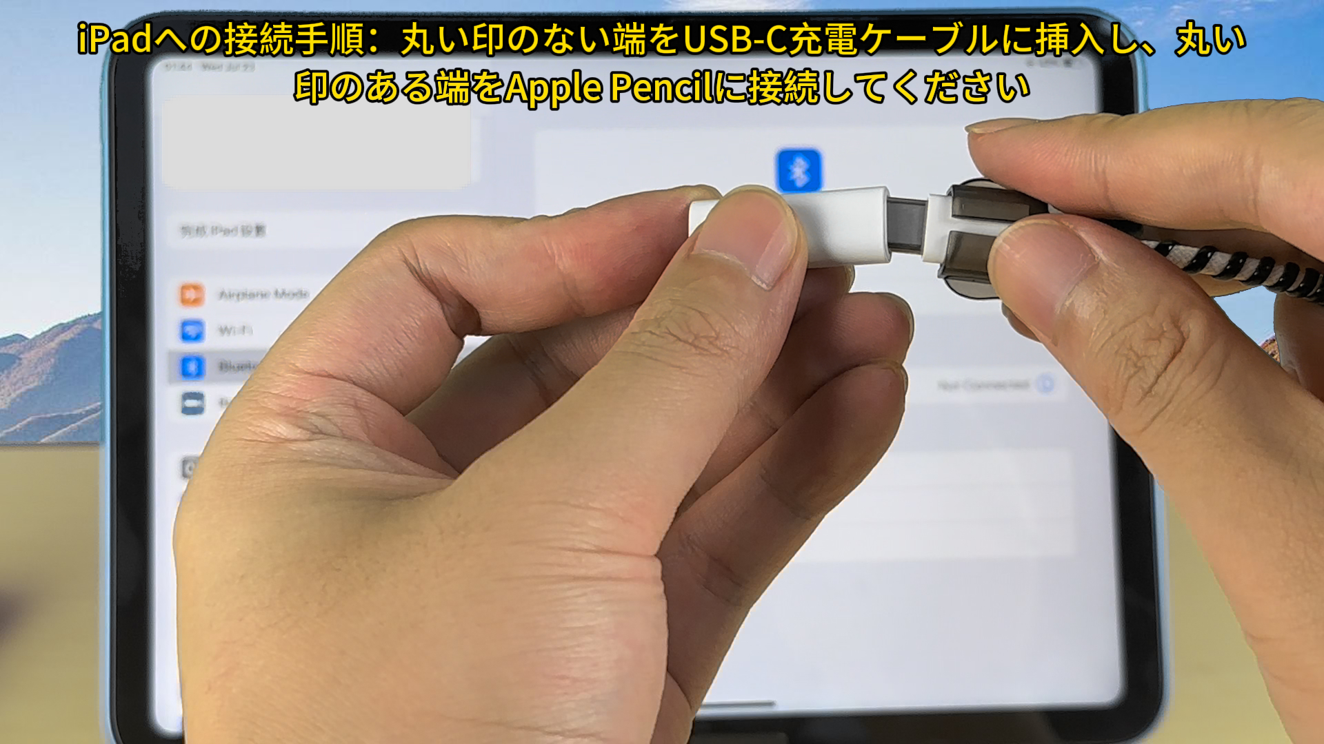 Amazon.co.jp: Type-c 変換アダプタ Lightning メス USB Cメス 変換