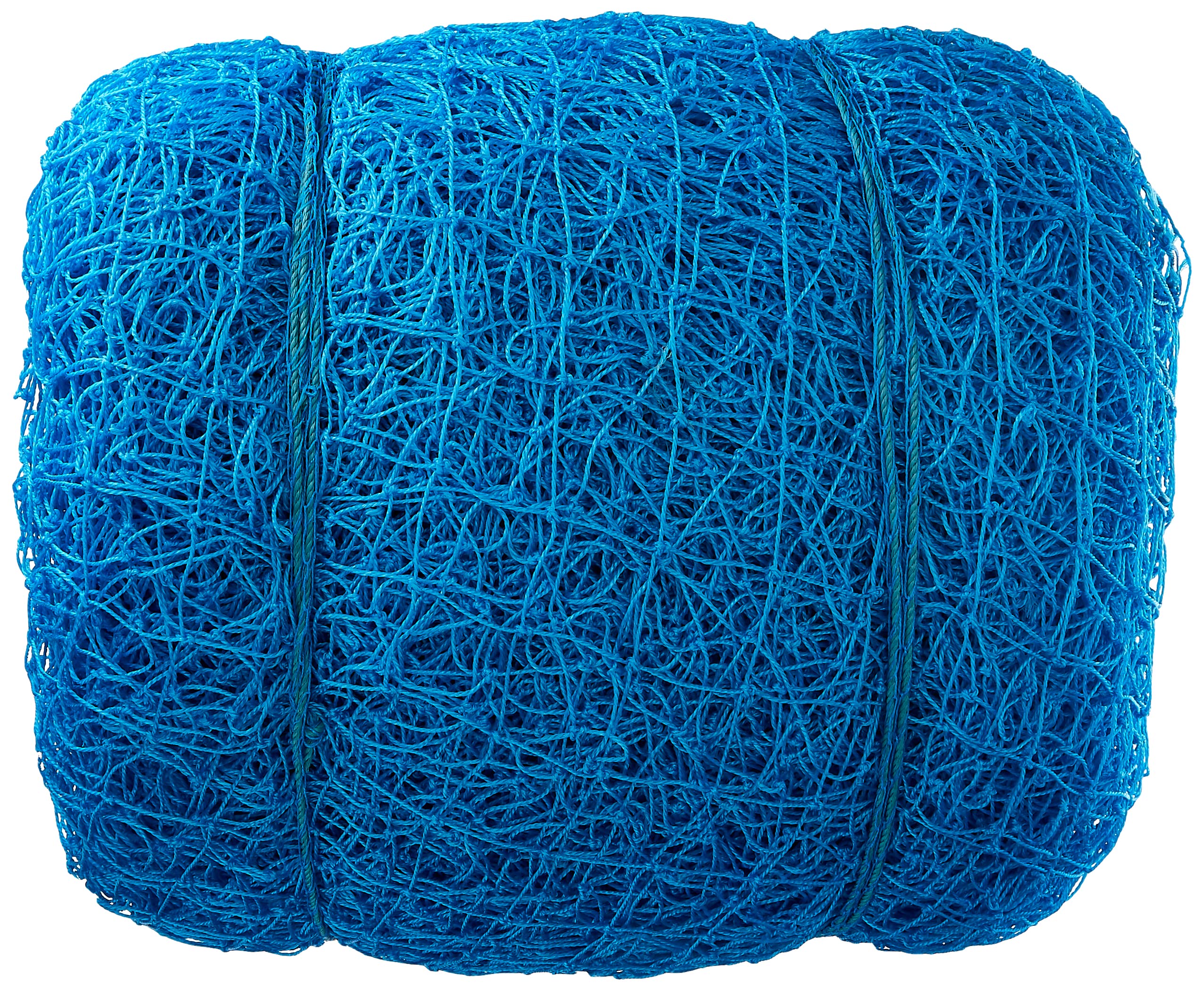 Cricket Boundary Net - RAISCO - Blue -9