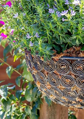 Miniatura 8 de SuperMoss - Musgo seco para orquídea sphagnum seco