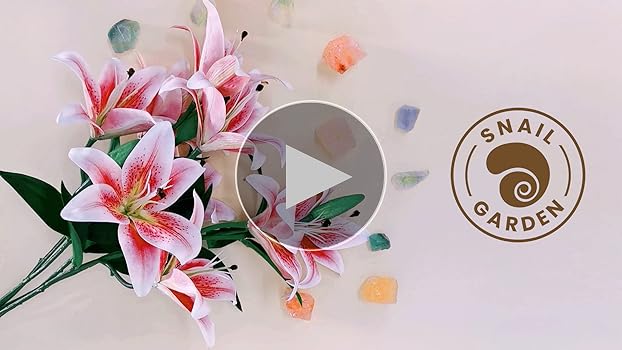 LILy　N organic Plenium Lily – Green Import Limited Canada