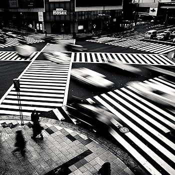 洋書 Josef Hoflehner Retrospective 1975-2015 Josef Hoflehner Retrospective 1975-2015