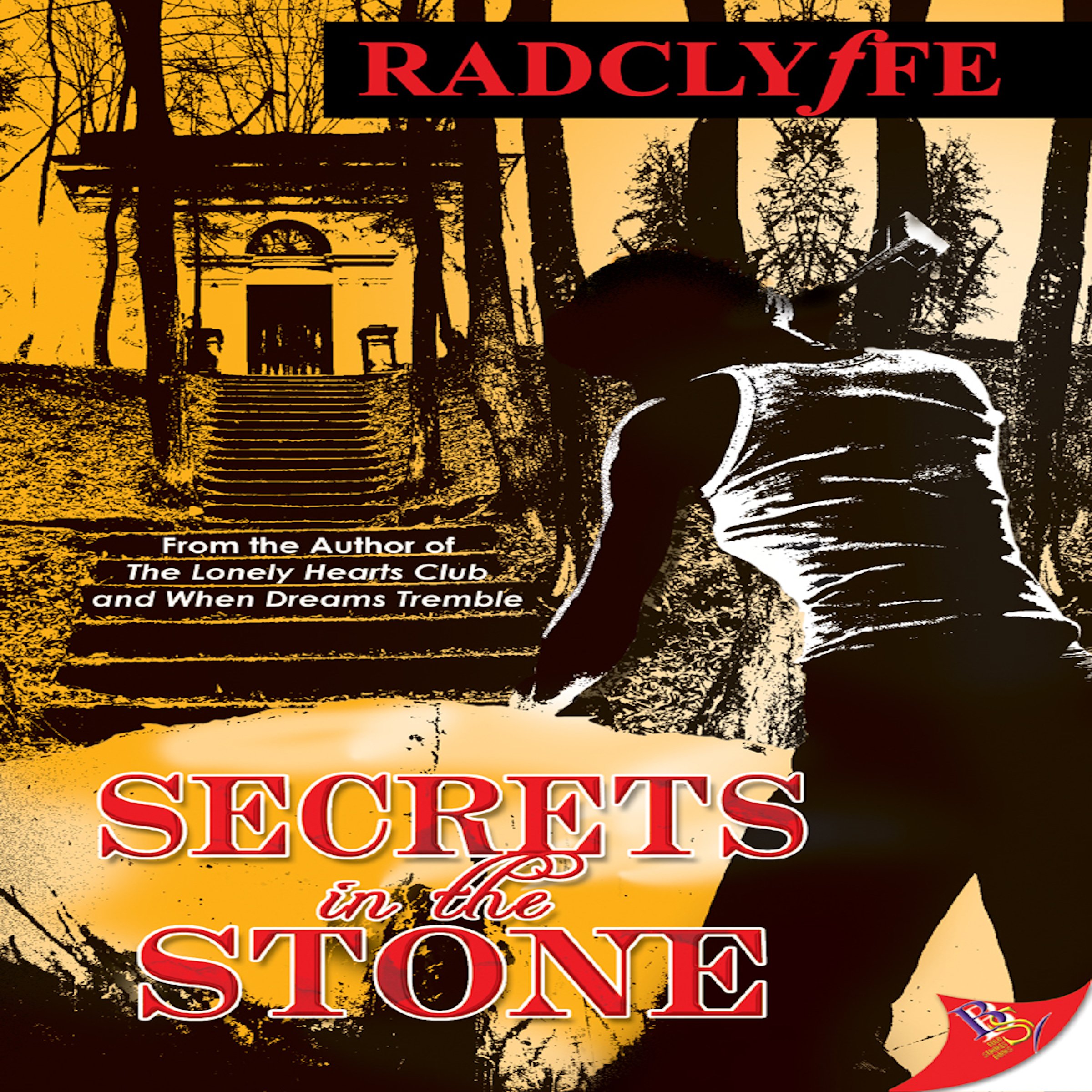 Cover art for Secrets in the Stone