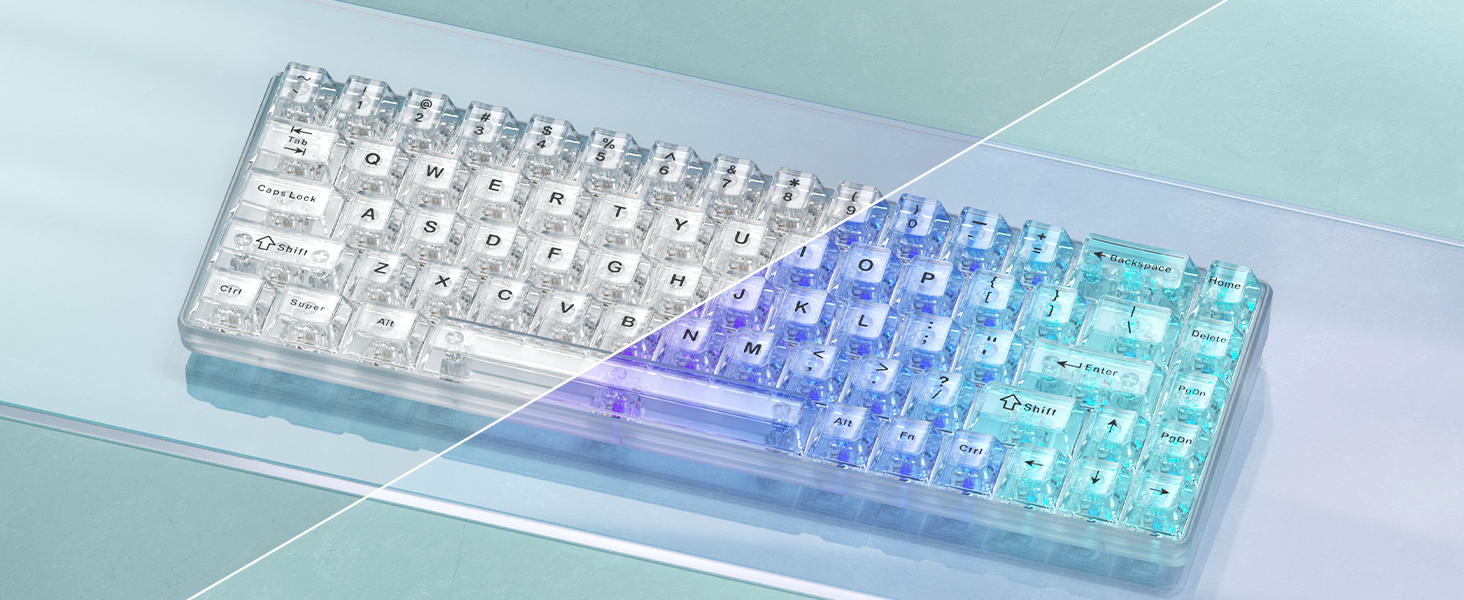 TEN×HAKU JERRY CLEAR TEN×HAKU JERRY CLEAR TEN×HAKU JERRY CLEAR Used 2022 Kawasaki Ninja