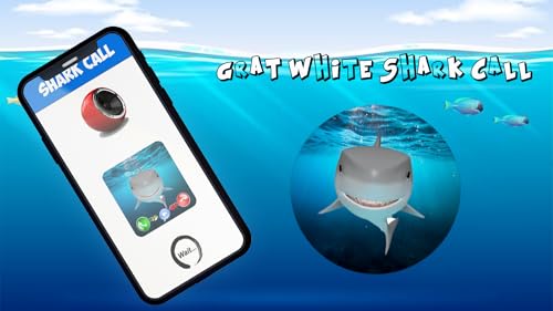 Call From Great White Shark - Live Video
