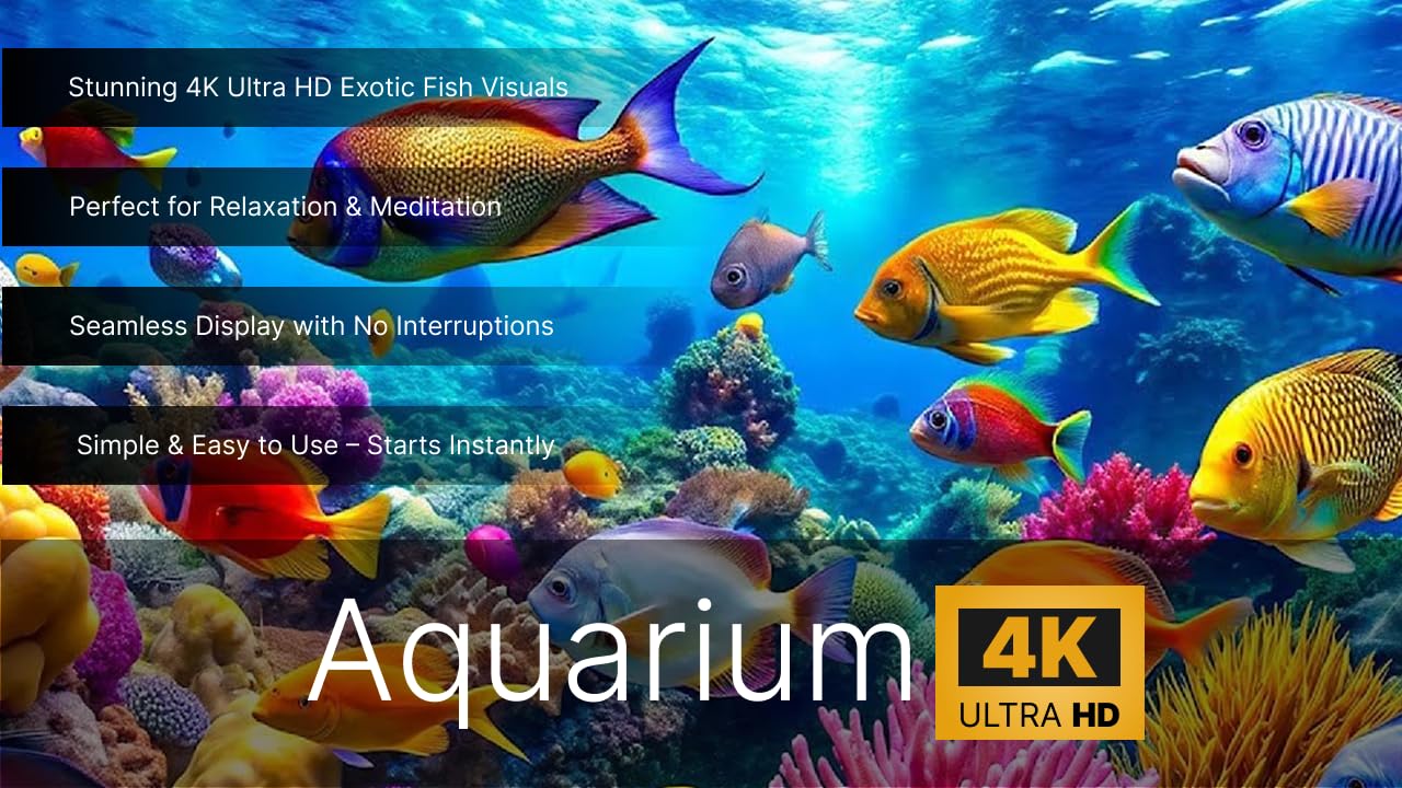 Ambiance Aquarium – Stunning 4K Ultra HD Underwater Experience - Mise en situation et utilisation