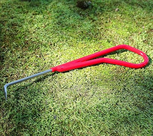 Miniatura 4 de KAKURI Gancho de raíz de bonsái, herramienta profesional de 8.6 pulgadas, acero inoxidable japonés, rojo, fabricado en Japón