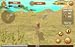 Wild Cheetah Sim 3D