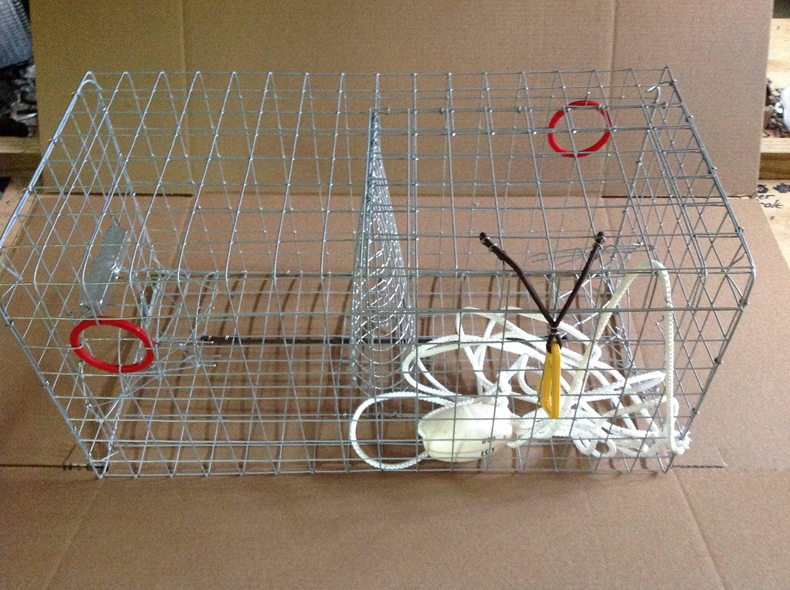 Maryland Blue crab pot trap Chesapeake Atlantic blue crab Heavy Duty