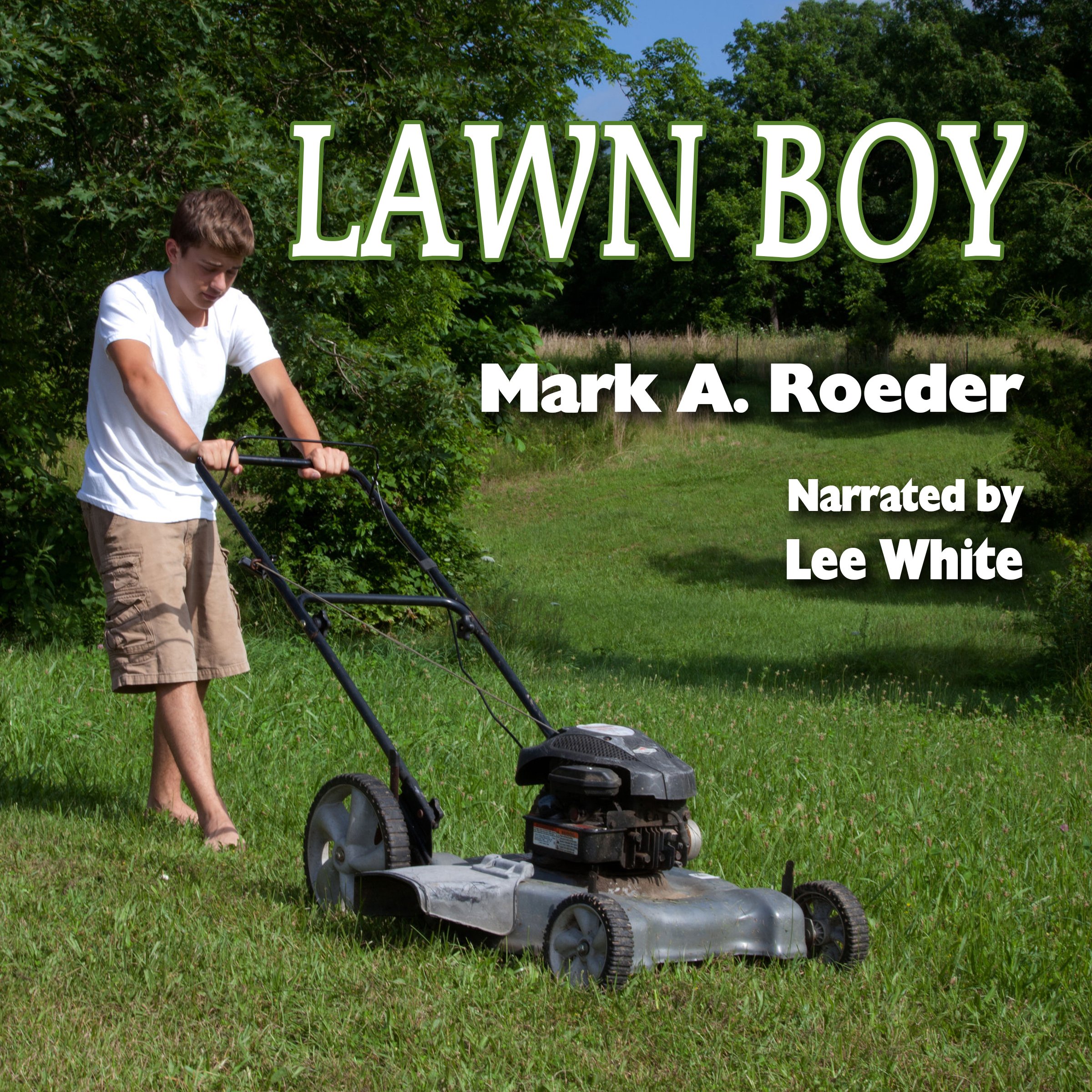 Cover art for Lawn Boy