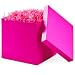 Hallmark Large Gift Box with Lid for Birthdays, Bridal Showers, Weddings, Baby Showers and More (Hot Pink)