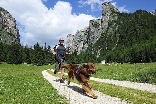 Miniatura 7 de Neewa Arnés para correr para perros, arnés de senderismo para perros (grande, amarillo), arnés reflectante para perro, arnés de mushing para perro,