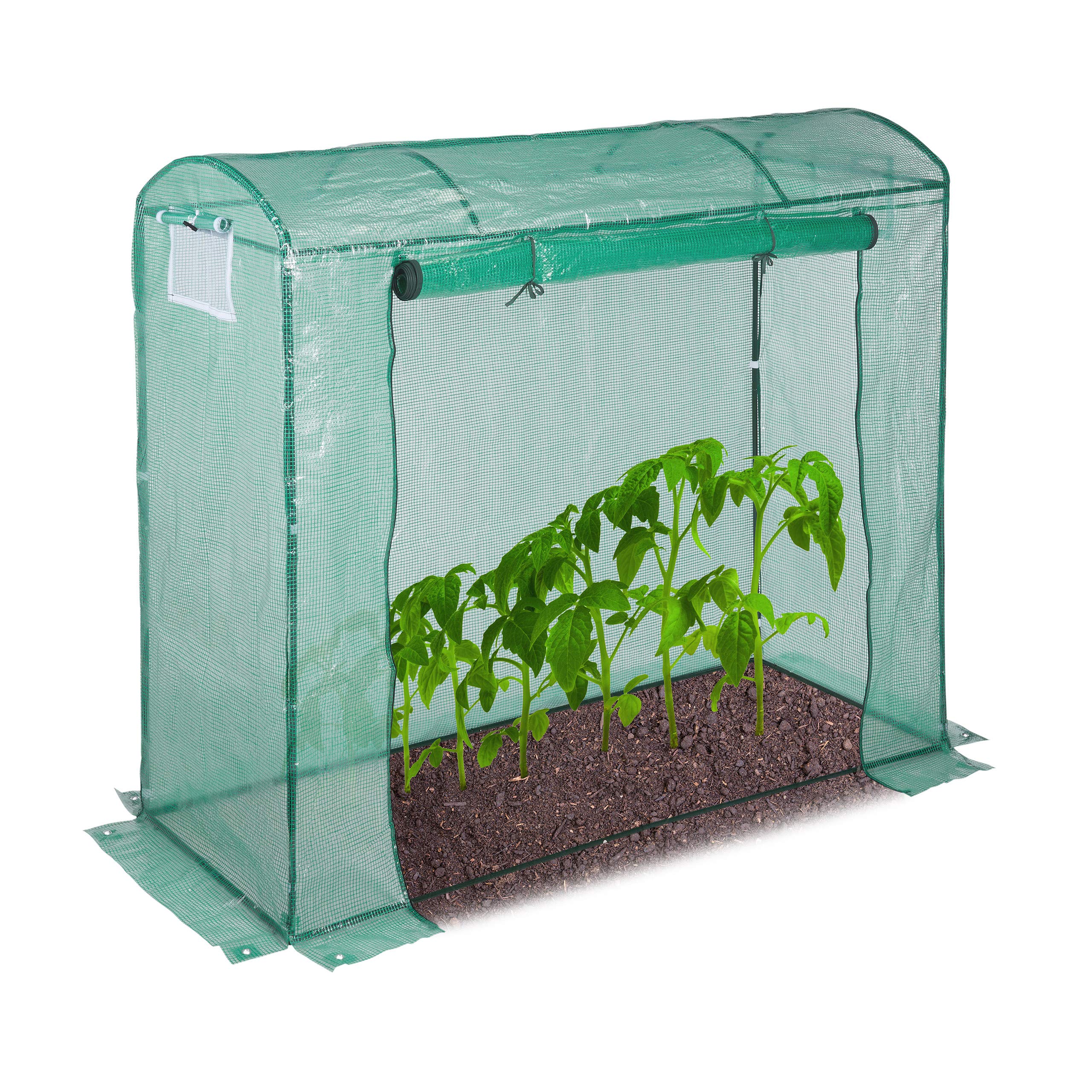 Relaxdays Tomatengewächshaus, rundes Dach, mit Tür, Tomatenhaus aus Stahl und Folie, UV-beständig, HBT: 170x80x200, grün