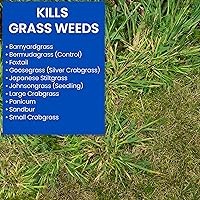 Vista 2 de Sbm Life Science 704115A - Eliminador potenciado del garranchuelo - 32 onzas, 32 onza