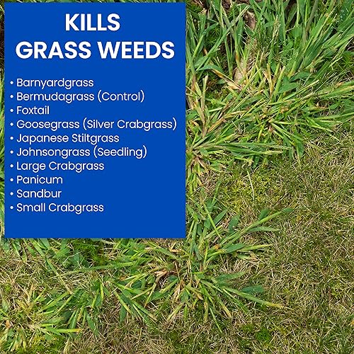 Miniatura 2 de Sbm Life Science 704115A - Eliminador potenciado del garranchuelo - 32 onzas, 32 onza