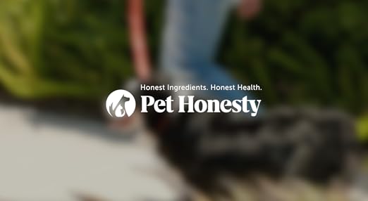 Pet Honesty Chlorhexidine Cat & Dog Seasonal Itch Relief Shampoo, for Allergies, Itching, Skin and Coat Supplement, Helps Shedding, Hot Spots, Deodorizing Dog Shampoo & Grooming Supplies,16oz