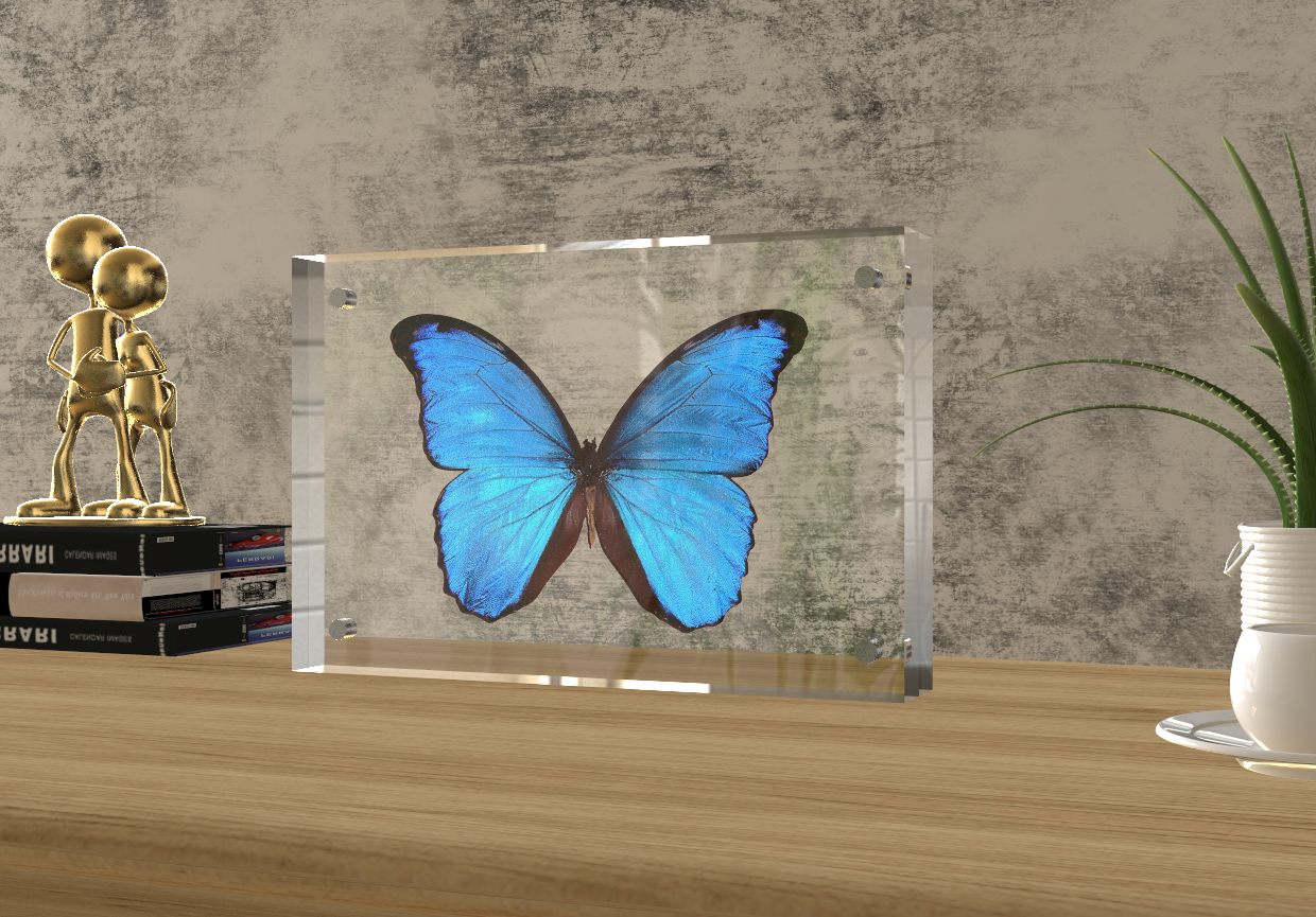 nekkoHeracles旅行フォトフレーム brightwin 2gether nekkoHeracles