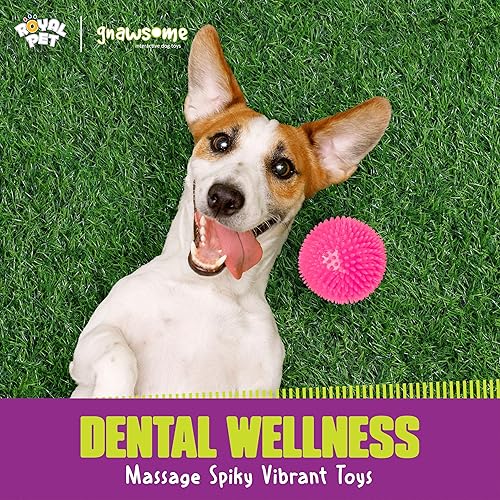 Miniatura 4 de Gnawsome Juguete para perros de 4.5 pulgadas, con chirrido y bola ligera, extragrande, limpia los dientes y promueve la salud dental y de las encías
