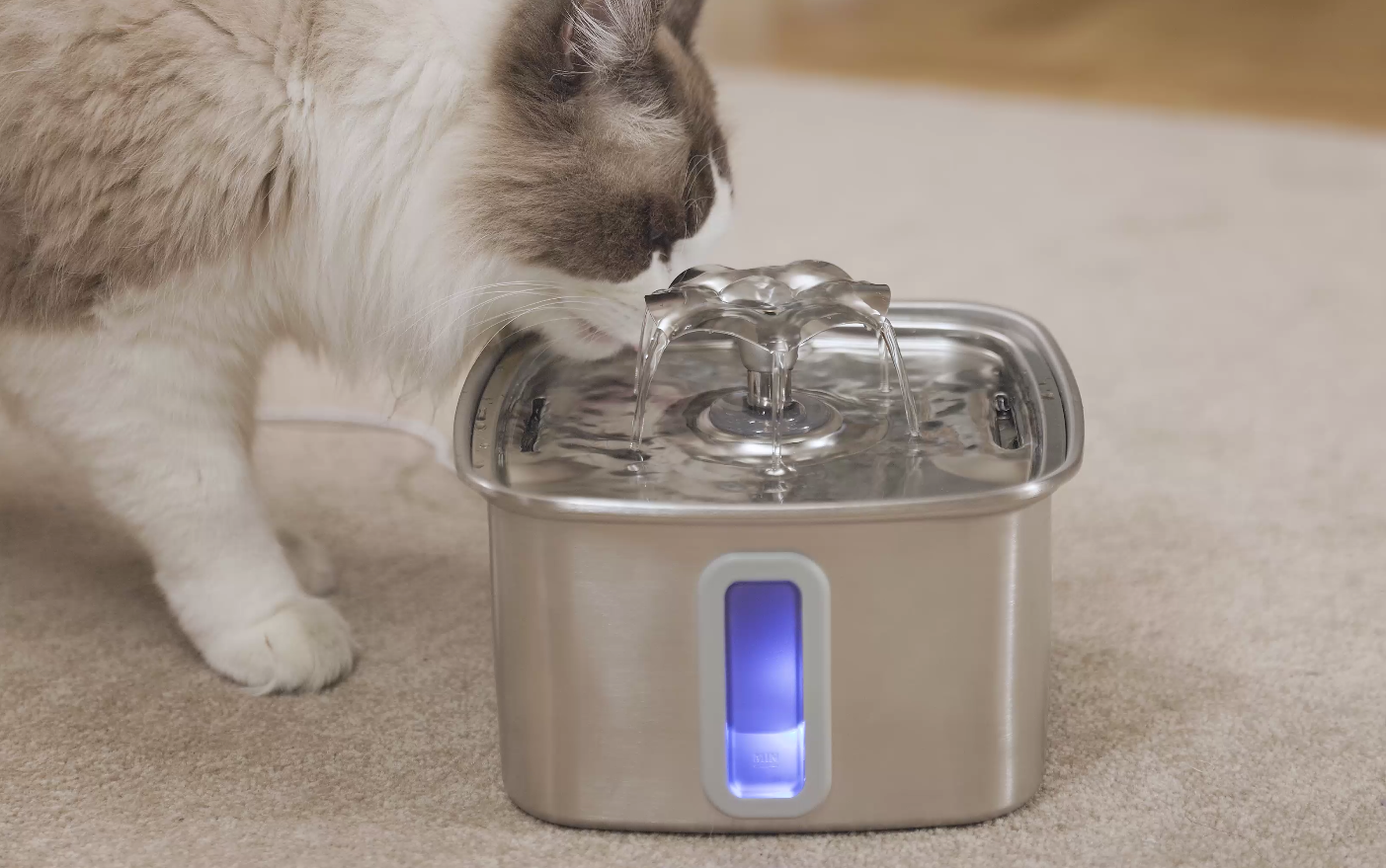 Amazon.com : Veken Innovation Award Winner Stainless Steel Cat Water  Fountain, 108oz/3.2L Automatic Pet Fountain Dog Water Dispenser with 3  Replacement Filters & Silicone Mat, Gifts for Cats, Dogs (Silver) : Pet