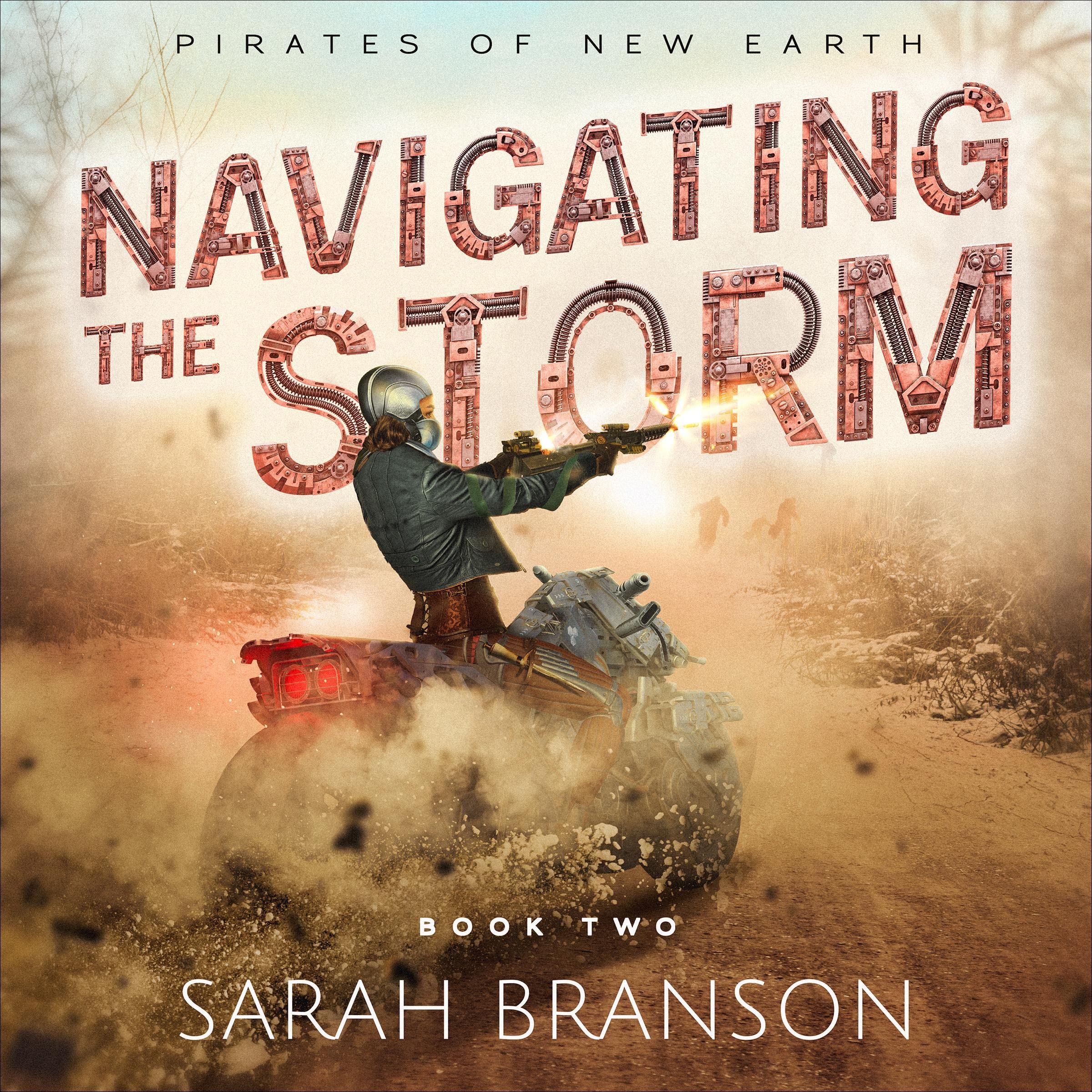 Cover art for Navigating the Storm