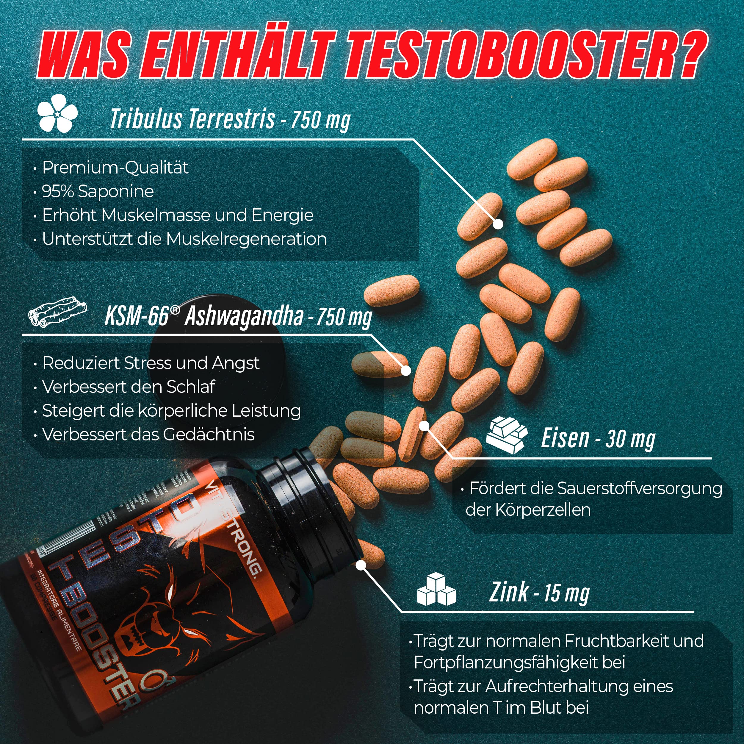 Vitastrong TestoBooster mit Tribulus Terrestris und Ashwagandha Original